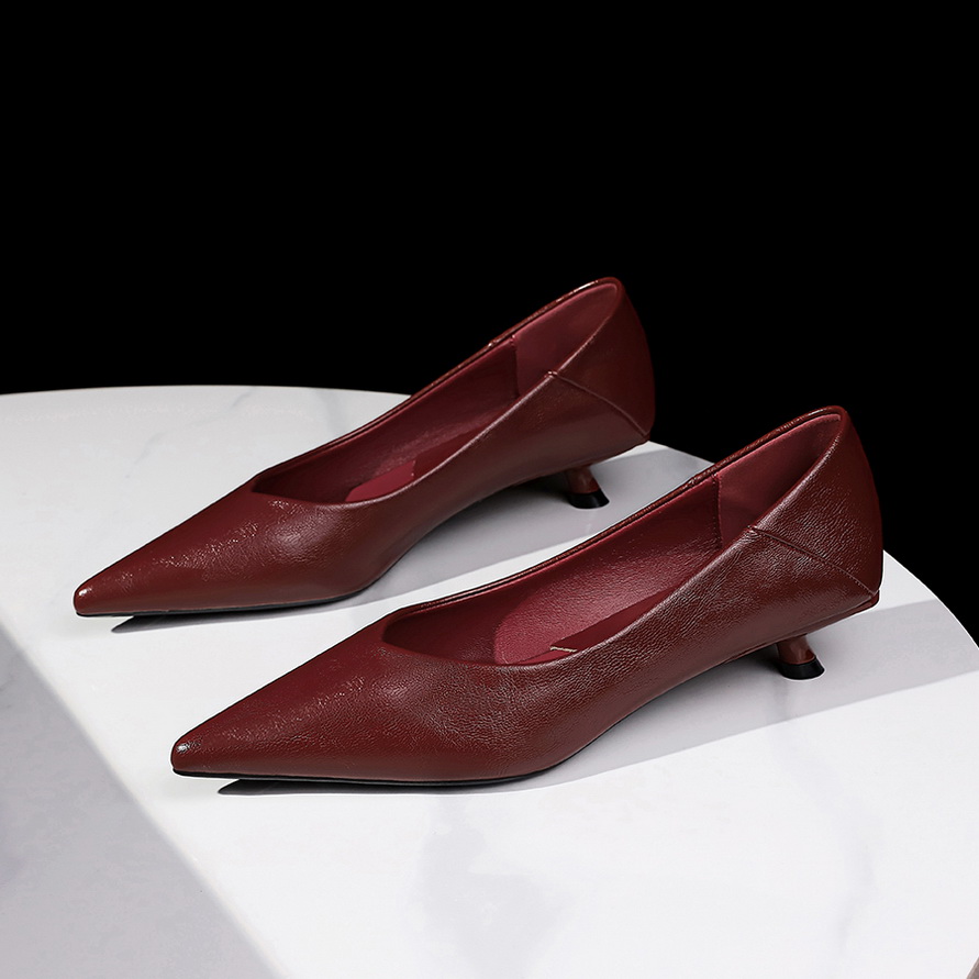 Retro Style Women's Low Heel Pumps Office Commuter Shoes Pointed Toe Slip-On